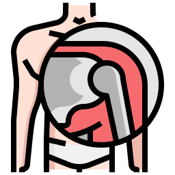 Shoulder