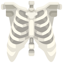 Thoracic Spine